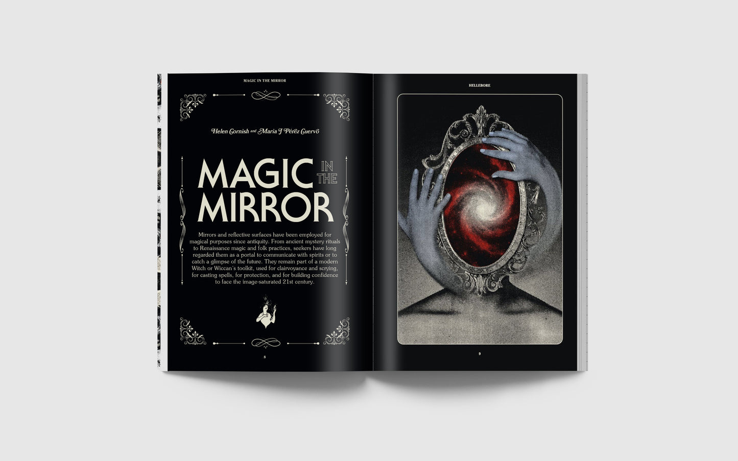 Hellebore #14: The Mirror Issue